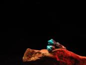 Leekya Deyuse Zuni Vintage Ring w/Carved TQ  c.1950