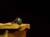 Antique Stamped Silver Split Shank Ring  c.1930