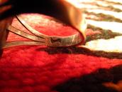 【Fred Thompson】 Navajo Vintage Ring w/Square TQ  c.1970