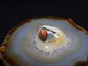 Vintage Navajo Silver Seal Ring w/2Tone PetrifiedWood c.1945
