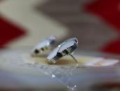 【Anselm Wallace】Zuni Desert Rose Pierced Earrings  c.1970～