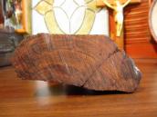 Carved Ironwood Cactus objet  Medium
