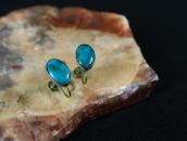 Vintage Navajo Oval Fox Turquoise Screw-back Earrings c.1940