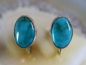 Vintage Navajo Oval Fox Turquoise Screw-back Earrings c.1940