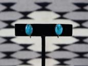 Vintage Navajo Oval Fox Turquoise Screw-back Earrings c.1940