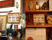 Vintage Framed Navajo Dye Chart  23×28