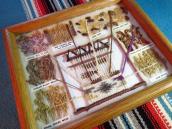 Vintage Framed Navajo Dye Chart  23×28