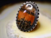Atq Navajo Split Shank Ring w/2Tone PetrifiedWood  c.1945～