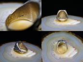 Vintage Navajo Heavy Silver Men's Ring w/Gemsilica c.1955～