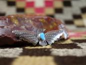 Antique Navajo Tunderbird Shaped Pin w/Gem Turquoise c.1930～