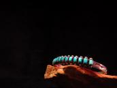 Vintage Zuni Row Cuff Bracelet w/Square TQ  c.1940