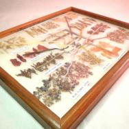 Vintage Framed Navajo Dye Chart  31×38