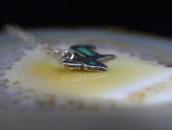 【Frank Patania/Thunderbird Shop】Donkey Top Necklace  c.1950～