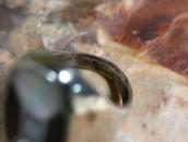 Vintage Zuni Tortoiseshell & Shell Inlay Seal Ring  c.1965～