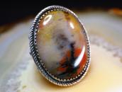 Atq Navajo Split Shank Silver Ring w/PetrifiedWood  c.1940～