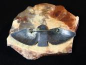 Antique Navajo Big Thunderbird Stamped Silver Pin  c.1930～