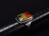 Atq 【GARDEN OF THE GODS】 Silver Ring w/PetrifiedWood  c.1940