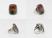 Atq 【GARDEN OF THE GODS】 Silver Ring w/PetrifiedWood  c.1940