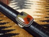 Atq 【GARDEN OF THE GODS】 Silver Ring w/PetrifiedWood  c.1940