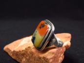 Atq 【GARDEN OF THE GODS】 Silver Ring w/PetrifiedWood  c.1940