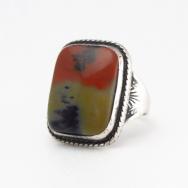 Atq 【GARDEN OF THE GODS】 Silver Ring w/PetrifiedWood  c.1940