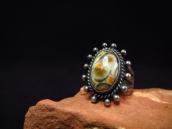 Antique Snake Stamped Silver Ring w/Thunderegg(Agate) c.1940